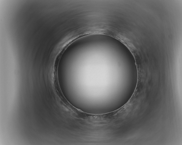 X0000113070338200908281158