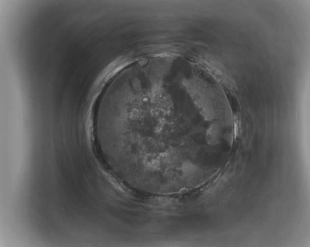 X0000113070339200908281158