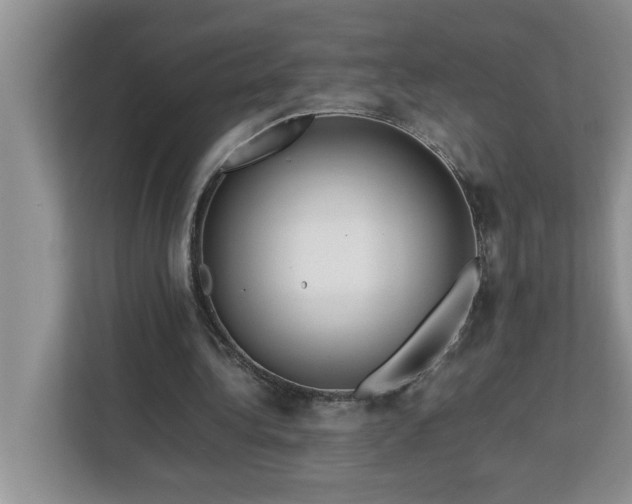 X0000113070340200908281158