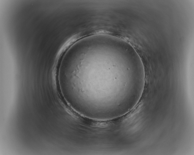 X0000113070341200908281158
