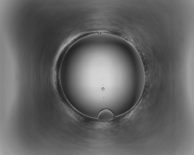 X0000113070342200908281158