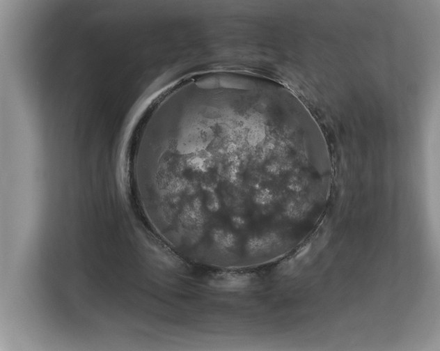 X0000113070343200908281159