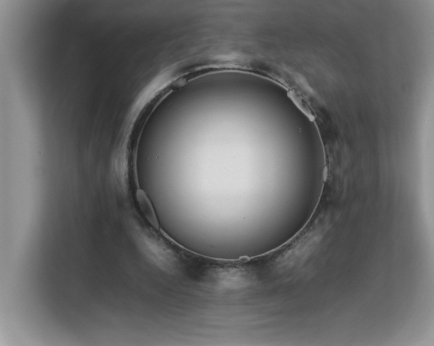 X0000113070344200908281159
