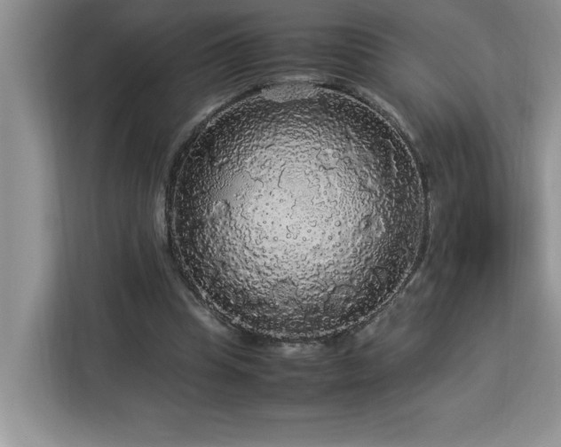 X0000113070345200908281159