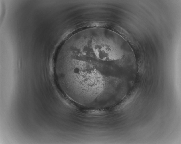 X0000113070347200908281159