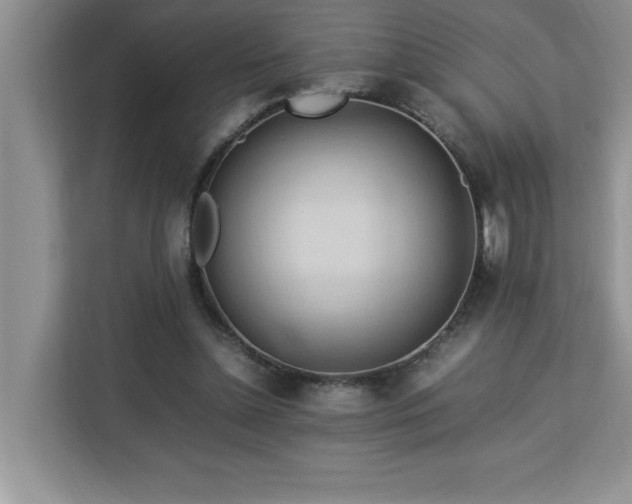 X0000113070348200908281159