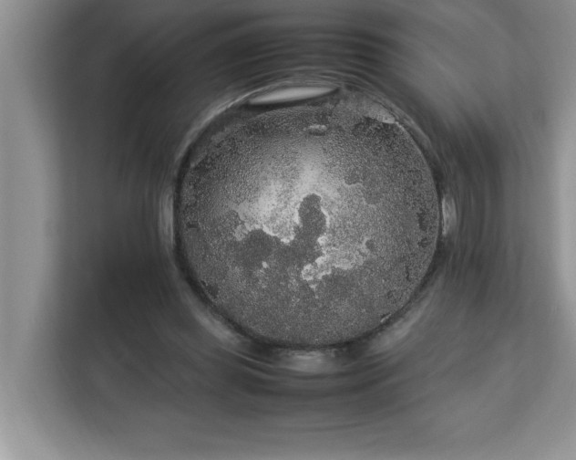 X0000113070349200908281159