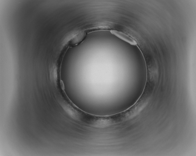 X0000113070350200908281159