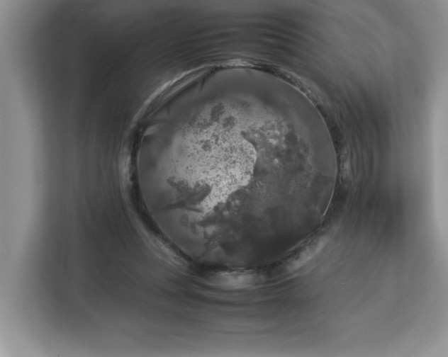X0000113070351200908281159