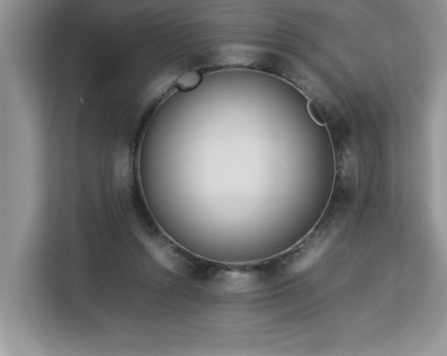 X0000113070352200908281159