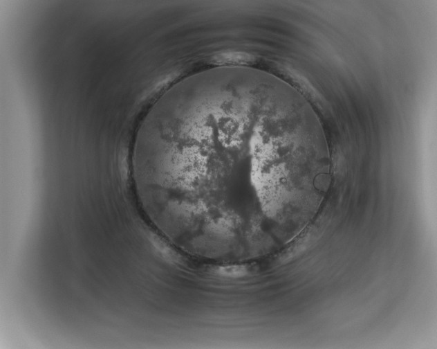 X0000113070353200908281159