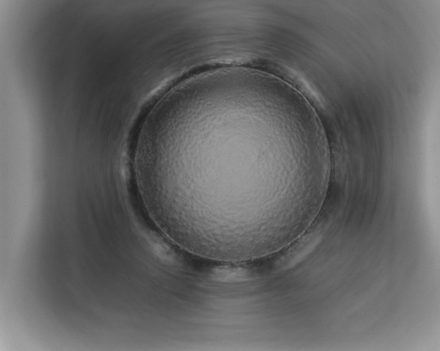 X0000113070354200908281159