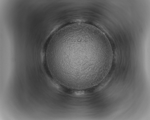 X0000113070355200908281159