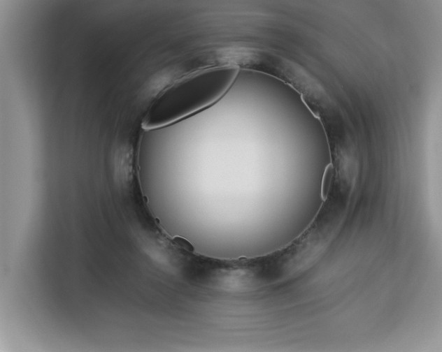 X0000113070356200908281159