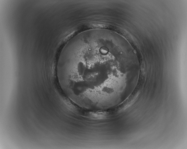 X0000113070359200908281159