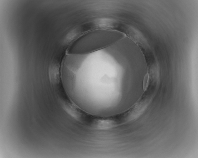 X0000113070360200908281159