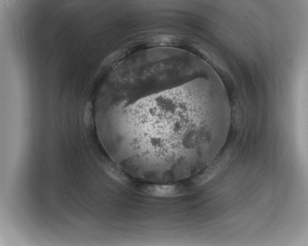 X0000113070361200908281159