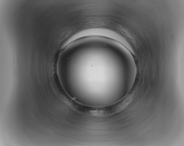 X0000113070362200908281159