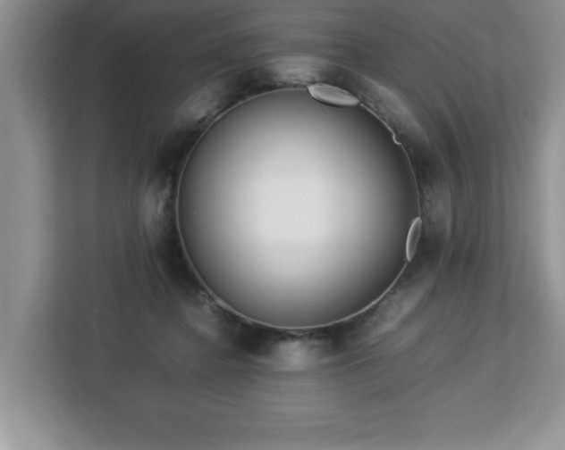X0000113070364200908281159