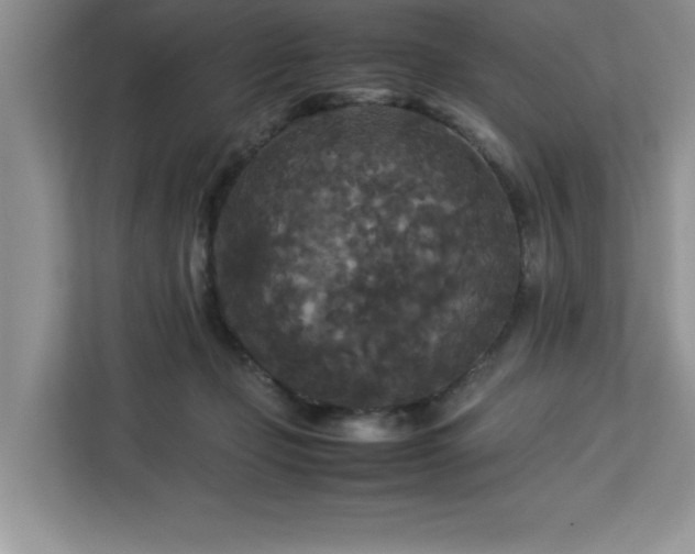 X0000113070365200908281159