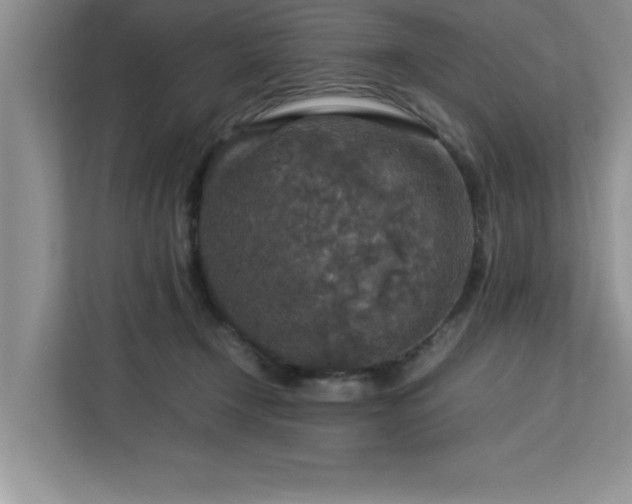 X0000113070366200908281159