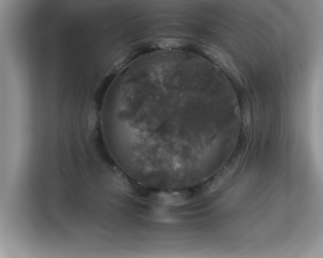 X0000113070367200908281159