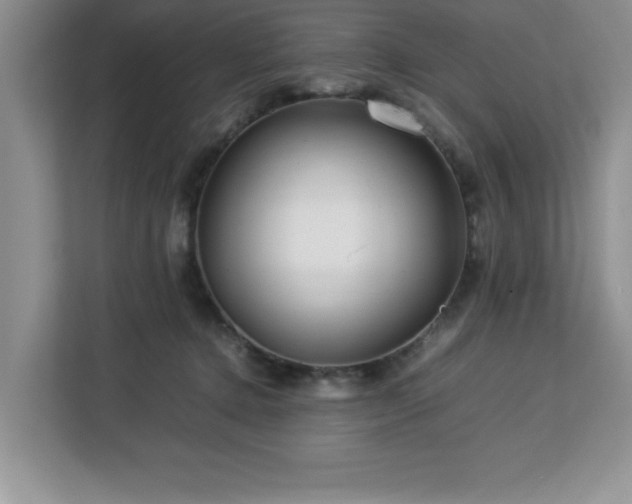 X0000113070368200908281159