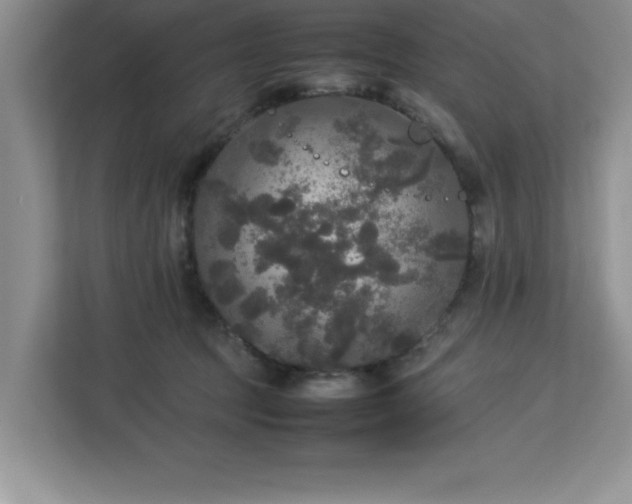 X0000113070369200908281159