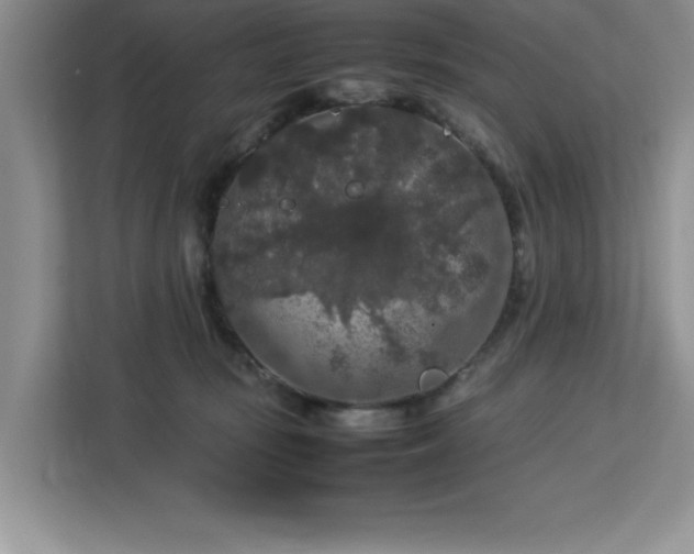 X0000113070371200908281159