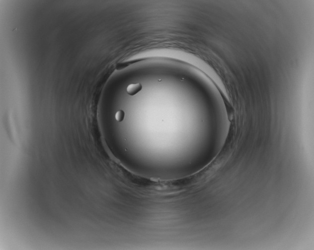 X0000113070372200908281159