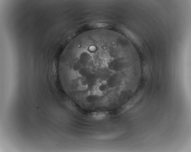 X0000113070373200908281159