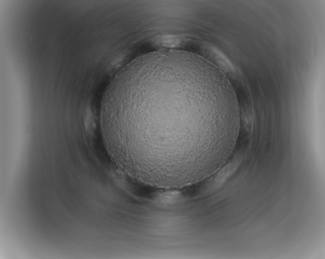 X0000113070374200908281159