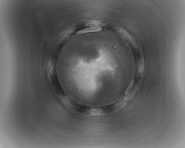 X0000113070376200908281159