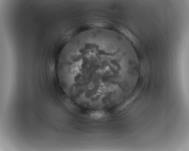 X0000113070377200908281159