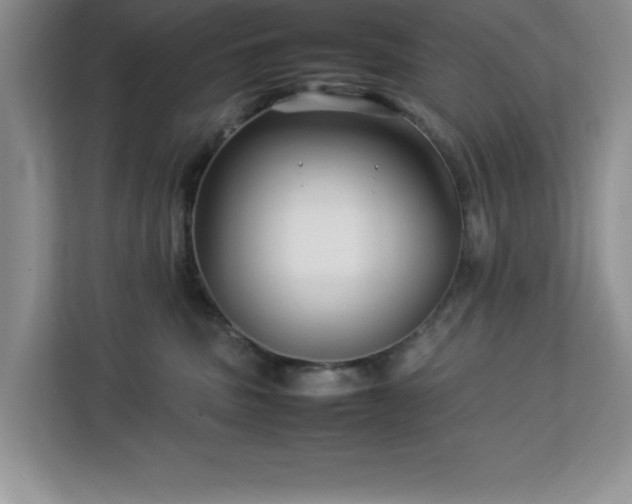 X0000113070379200908281159
