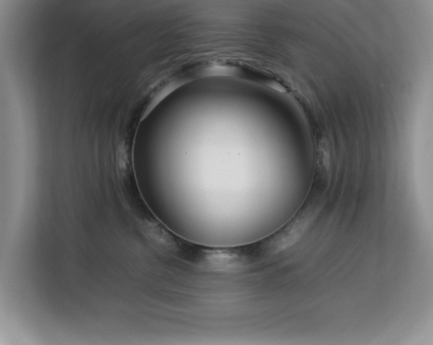 X0000113070380200908281159