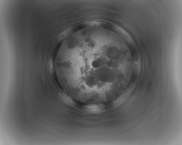 X0000113070381200908281159