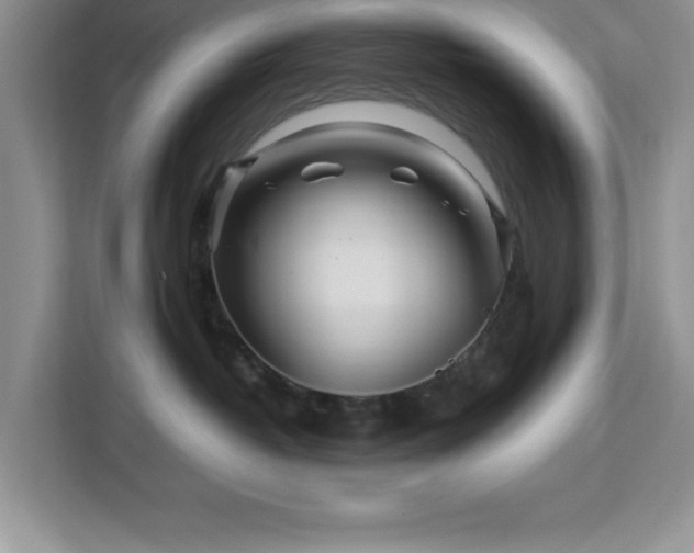 X0000113070382200908281159