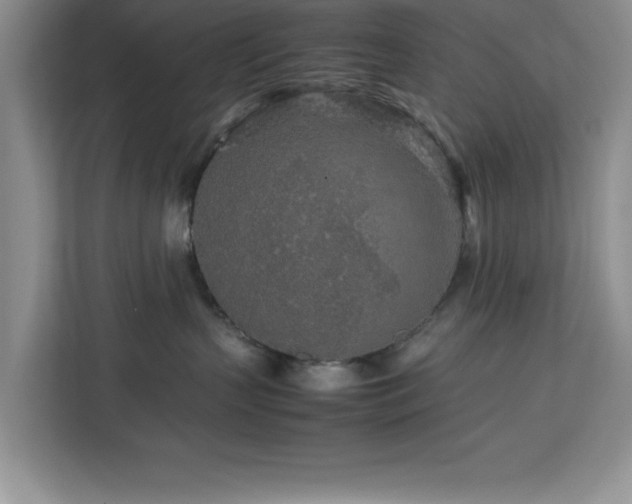 X0000113070383200908281159