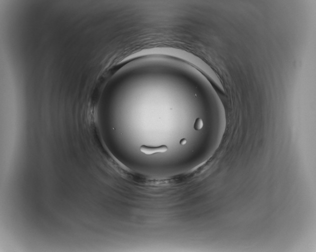 X0000113070384200908281159