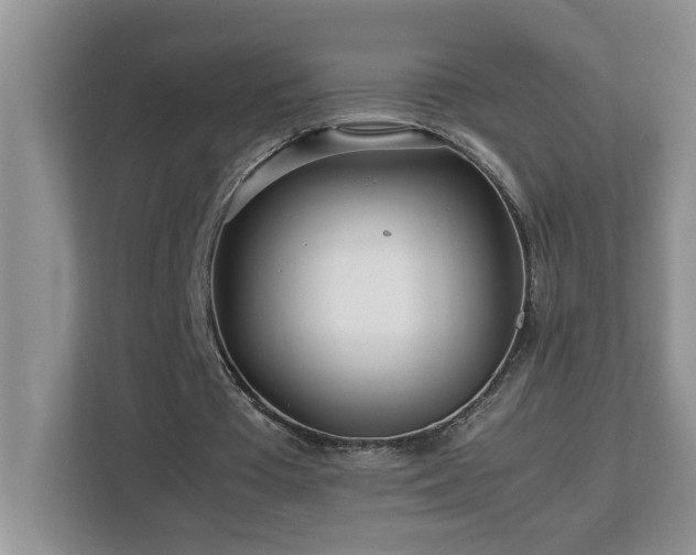 X0000113070385200908281158