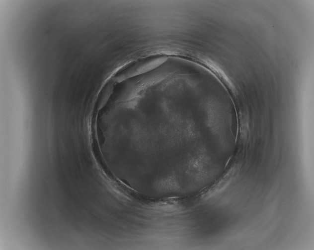 X0000113070386200908281158