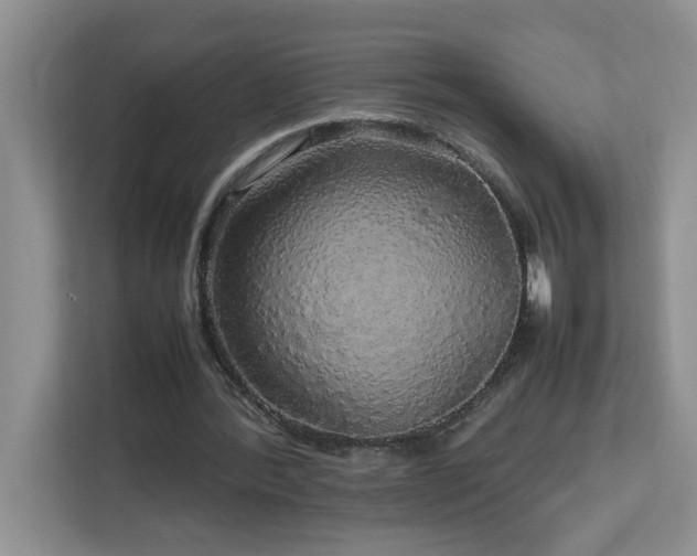 X0000113070388200908281158