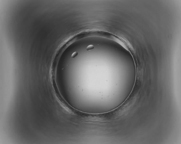 X0000113070389200908281158