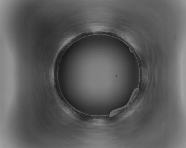 X0000113070391200908281158