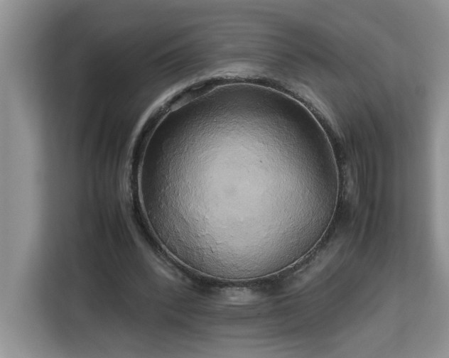 X0000113070392200908281158