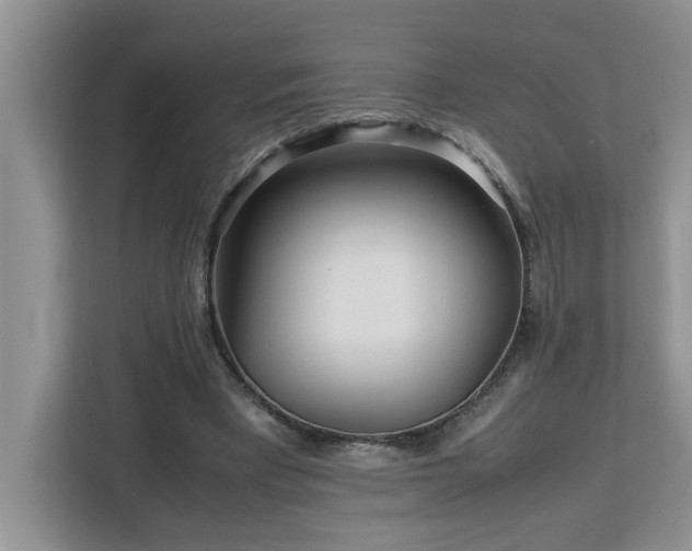 X0000113070393200908281158