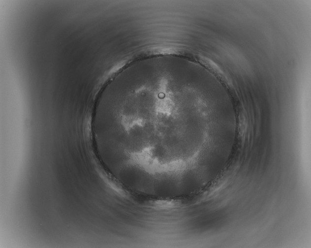 X0000113070394200908281158