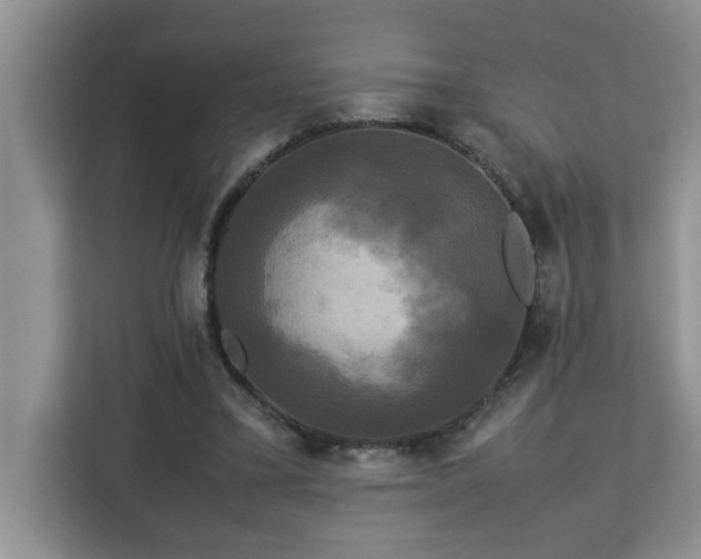 X0000113070395200908281158