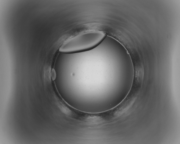 X0000113070397200908281158